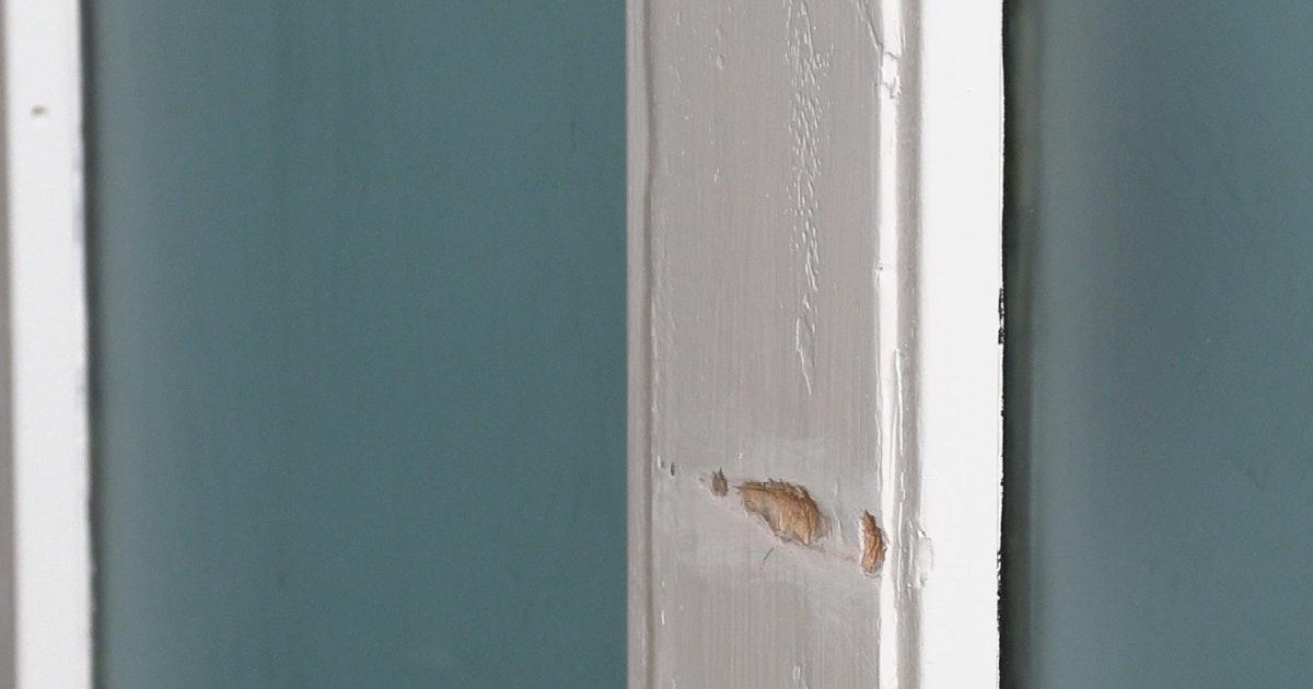 Lær hvordan du enkelt reparerer treverk utsatt for kulde